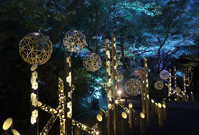 Japanese umbrellas and bamboo lanterns are illuminated for lights innstallation August 21, 2023, Tokyo, Japan   Bamboo balls and lanterns are illuminated by LEDs at a garden of Takanawa Prince hotel in Tokyo on Monday, August 21, 2023. The twinkling lights installation attracted summer vacationers.    photo by Yoshio Tsunoda AFLO  