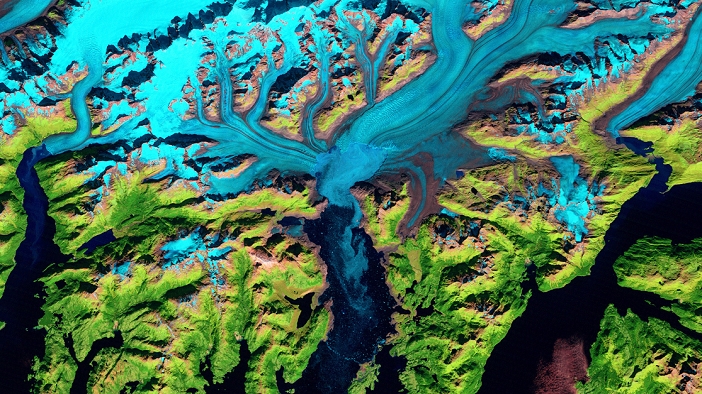 Columbia Glacier, Alaska, 2010 Columbia Glacier, Alaska. False colour satellite image of the Columbia Glacier, Alaska, USA, taken in 2010. Columbia Glacier descends from an ice field  top  3,050 metres above sea level, down the flanks of the Chugach Mountains, and into a narrow inlet that leads into Prince William Sound  bottom centre  in southeastern Alaska. It is one of the most rapidly changing glaciers in the world. Snow and ice appears bright cyan, vegetation is green, clouds are white or light orange, and the open ocean is dark blue. Exposed bedrock is brown, while rocky debris on the glacier s surface is gray. Between 1980 and 2011 the glacier had retreated 20 kilometres north and lost roughly half its thickness and volume. Imaged by NASA s Landsat satellites, on 16th September