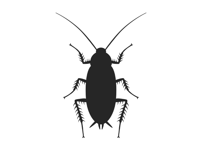 Clip art of cockroach
