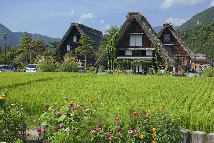 Gifu Prefecture Aota rice paddies and Shirakawa-go Gassho-Shirakawa-go Village