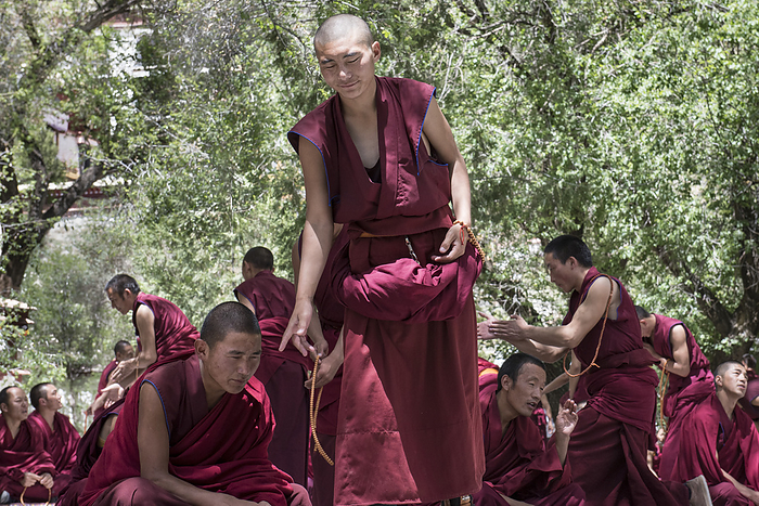 Monks in the debating courtyard; Tibetan Autonomous Region, Tibet, by Christopher Roche / Design Pics