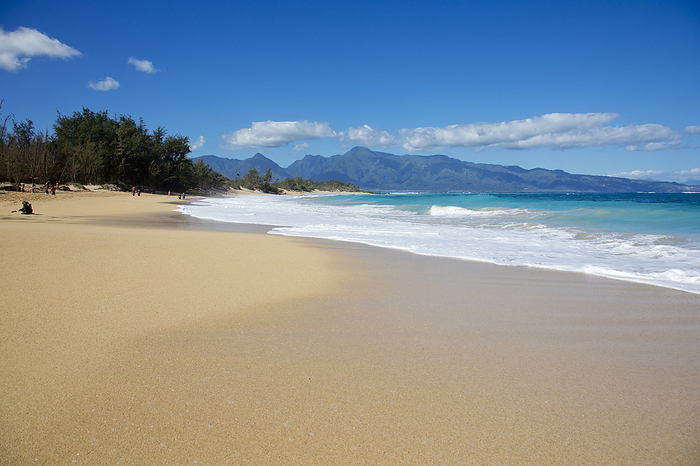 Baldwin Beach on a beautiful winter day, north shore of Maui with West Maui Mountains in the background; Paia, Maui, Hawaii, United States of America, by Ron Dahlquist / Design Pics