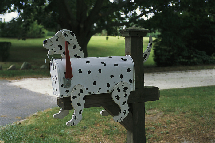 Mailbox designed to look like a dalmatian dog.; Harwich, Cape Cod, Massachusetts., by Darlyne Murawski / Design Pics