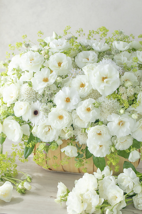 White rose arrangement Roses  Tomorrow Beauty, White Woods 