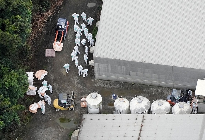 Officials at a pig farm where an outbreak of swine fever was confirmed proceeded with the killing of pigs. Officials at a pig farm where an outbreak of swine fever was confirmed in Karatsu City, Saga Prefecture, Japan, at 8:35 a.m. on September 1, 2023, from the head office s helicopter.