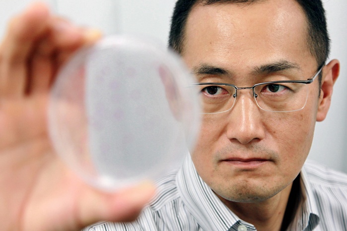 Shinya Yamanaka, Professor and Director of the iPS Cell Research Institute, Kyoto University  Driving the Times  Shinya Yamanaka, director of the iPS Cell Research Institute at Kyoto University, looks at iPS cells in a petri dish in Sakyo Ward, Kyoto, Japan, on September 2, 2011.