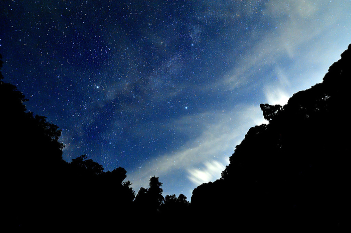Milky Way Galaxy Midsummer Clouds and Starry Scenery Ise Yukyu no Mori