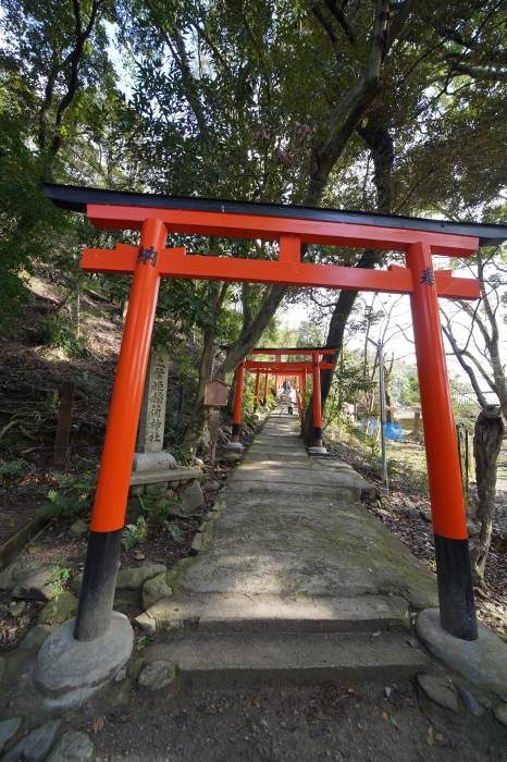 Scenery of Kamigamo Shrine