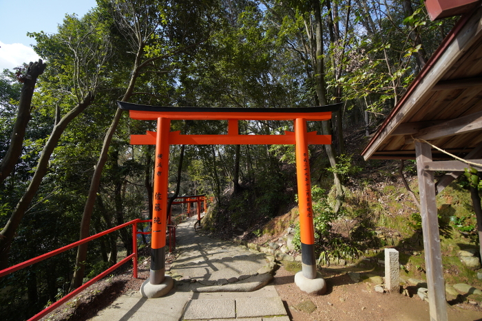 Scenery of Kamigamo Shrine
