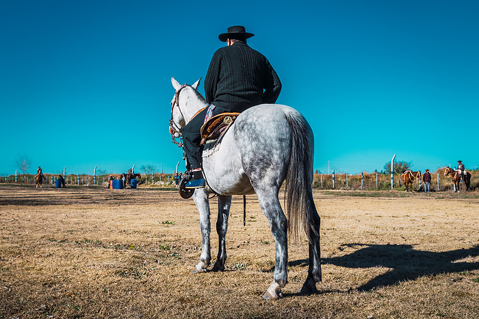 Argentine gaucho with hat on horse