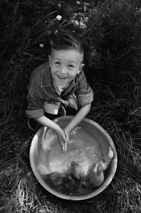Toddler boy play with the ducklings at the farm