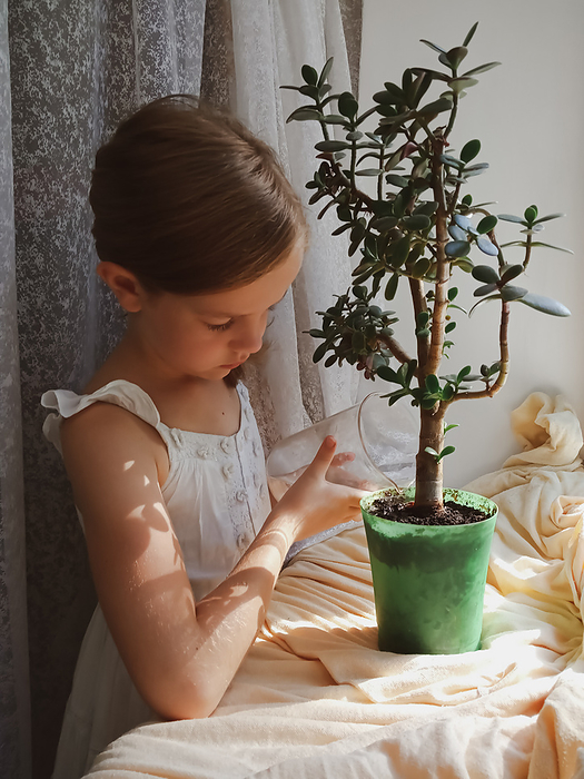 Little girl watering a houseplant at home on window