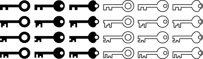Vector illustration set of monochrome keys