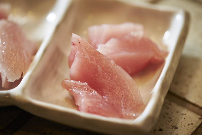 Pacific bluefin tuna (edible fish, Thunnus orientalis)