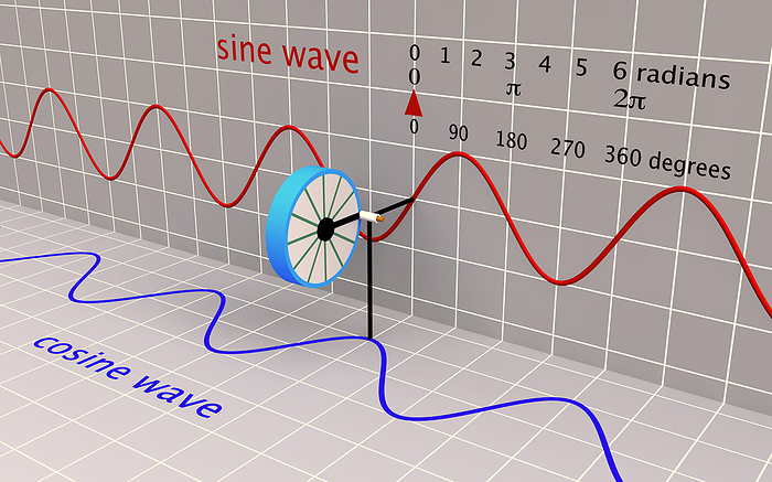 Sine and cosine waves, illustration Illustration demonstrating sine and cosine waves through a revolving circle. Sine waves  red  represent the behaviour of a simple oscillator. As the circle rotates, a horizontal line from a fixed point traces out a sine wave. The maximum amplitude of the wave is the same as the radius of the circle. Cosine waves  blue  are identical to sine waves but shifted by 90 degrees  out of phase . As the circle rotates, a vertical line from a fixed point traces out a cosine wave. The peak or trough of the sine wave corresponds to the midpoint of the cosine wave, and vice versa. Sine and cosine waves are periodic and repeat after a complete 360 degree  2 pi radians  revolution of the unit circle. These functions often appear in mathematics, physics and engineering., by RUSSELL KIGHTLEY SCIENCE PHOTO LIBRARY