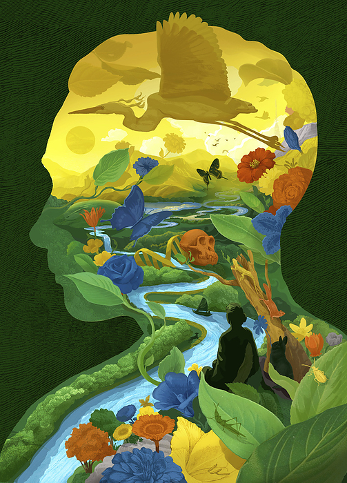 Evolution, conceptual illustration Conceptual illustration showing a natural scene within a man   profile focusing around a heron, river, DNA  deoxyribonucleic acid  and a hominid skull., by SAM FALCONER, DEBUT ART   SCIENCE PHOTO LIBRARY