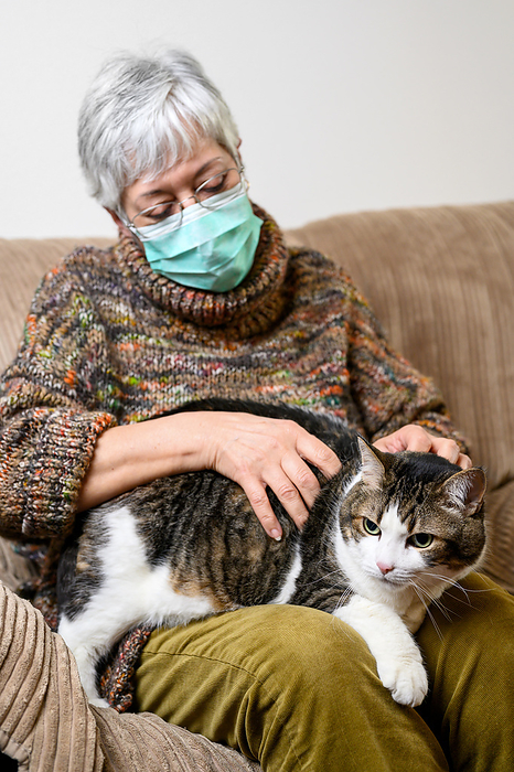 Coronavirus social distancing due to pandemic outbreak. Elderly Woman with protective face mask, Staying At Home stroking her Cat. Coronavirus Social Distancing Due to Pandemic Outbreak. Elderly Woman with Protective Face Mask, Staying at Home Stroking Her Cat., by Zoonar DAVID HERRAEZ