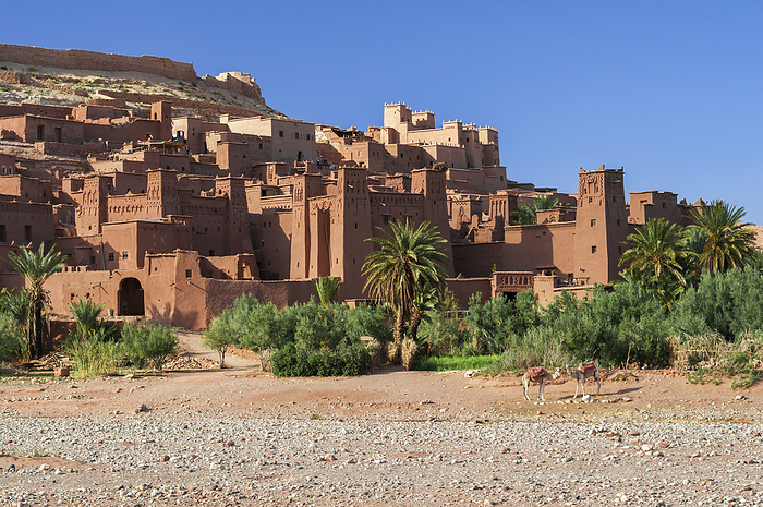 The Kasbahs of Ait Ben Haddou in the front are two Camels The Kasbahs of Ait Ben Haddou in the Front are Two Camels, by Zoonar Uwe Bauch