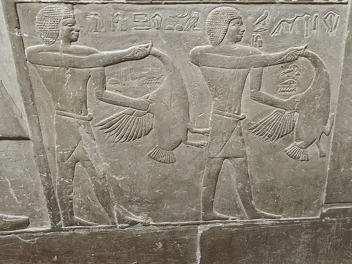 Relief from a tomb in Saqqara, part of the Memphite Necropolis, a UNESCO World Heritage Site, Egypt. Relief from a tomb in Saqqara, part of the Memphite Necropolis, UNESCO World Heritage Site, Egypt, North Africa Africa, by Michael Nolan