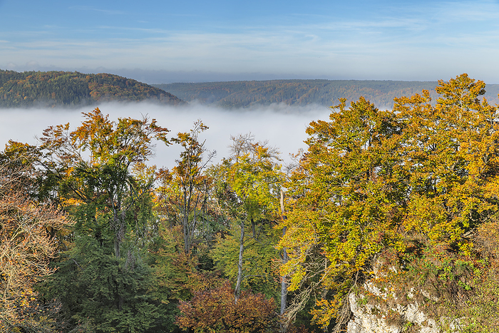 Fog over Altmuhl Valley, Riedenburg, Altmuehl Valley Nature Park, Bavaria, Germany Fog over Altmuhl Valley, Riedenburg, Altmuhl Valley Nature Park, Bavaria, Germany, Europe, by Markus Lange