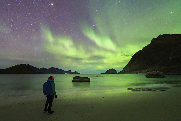 Man with backpack admiring the bright green lights of Aurora Borealis from Haukland beach, Nordland county, Lofoten Islands, Norway Man with backpack admiring the bright green lights of Aurora Borealis  Northern Lights  from Haukland beach, Lofoten Islands, Nordland, Norway, Scandinavia, Europe, by Roberto Moiola