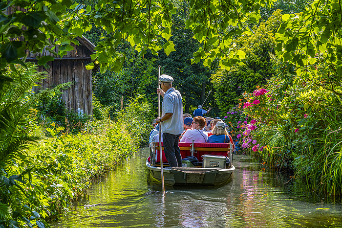 Tourists on a punt trip, Unesco biosphere reserve, Spree forest, Brandenburg, Germany Tourists on a punt trip, UNESCO Biosphere Reserve, Spree Forest, Brandenburg, Germany, Europe, by Michael Runkel