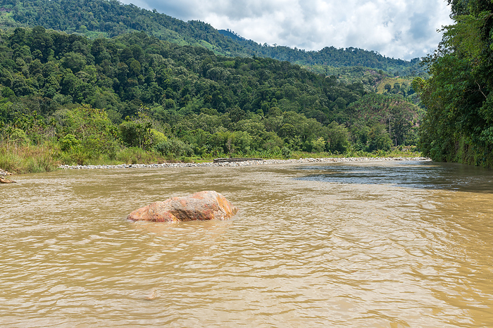 The river Alas flows through the Gunung Leuser National Park and further into the Indian Ocean The River Alas Flows Through the Gunung Leuser National Park and Further Into the Indian Ocean, by Zoonar Stefan Laws