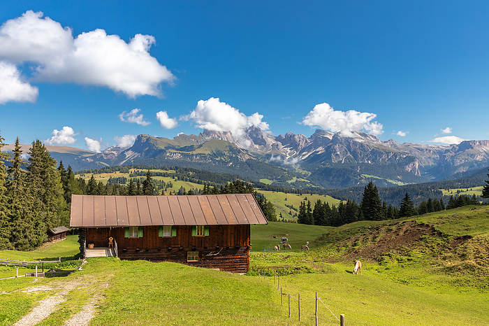 View over the Seiser Alm, Alpe di Siusi, South Tyrol View over the Seiser Alm, Alpe di Siusi, South Tyrol, by Zoonar ROBERT JANK