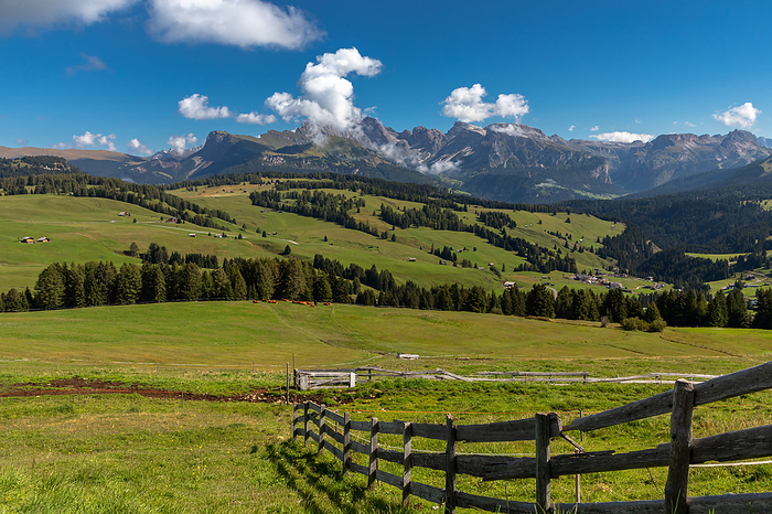 View over the Seiser Alm, Alpe di Siusi, South Tyrol View over the Seiser Alm, Alpe di Siusi, South Tyrol, by Zoonar ROBERT JANK