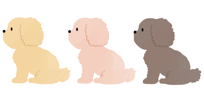 Clip art of poodle: simple and cute