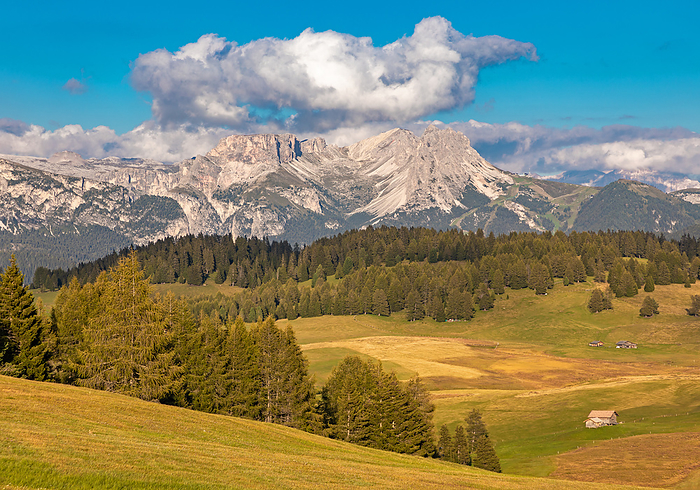 Alpe di Siusi, South Tyrol with view of the Geisler Group Alpe di Siusi, South Tyrol with view of the Geisler Group, by Zoonar ROBERT JANK