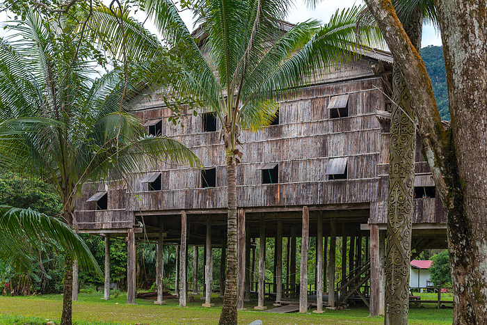 Traditional Melanau tall house, an elevated building in the Sarawak Cultural Village on Borneo Traditional Melanau Tall House, to Elevated Building in the Sarawak Cultural Village on Borneo, by Zoonar Stefan Laws