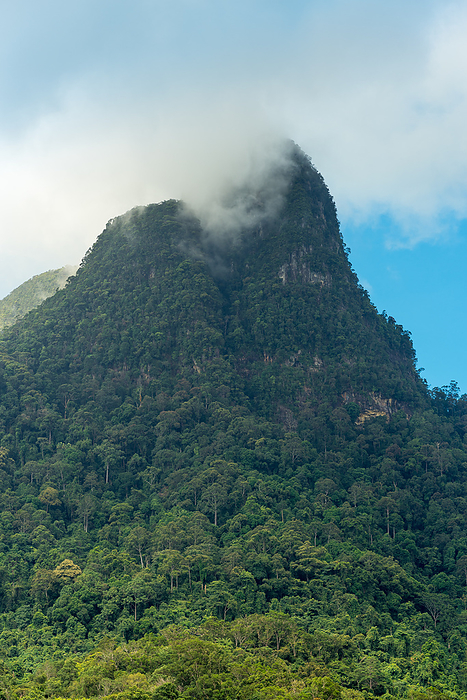 The Mount Santubong in the north of the Malaysian state of Sarawak on Borneo The Mount Santubong in the North of the Malaysian State of Sarawak on Borneo, by Zoonar Stefan Laws