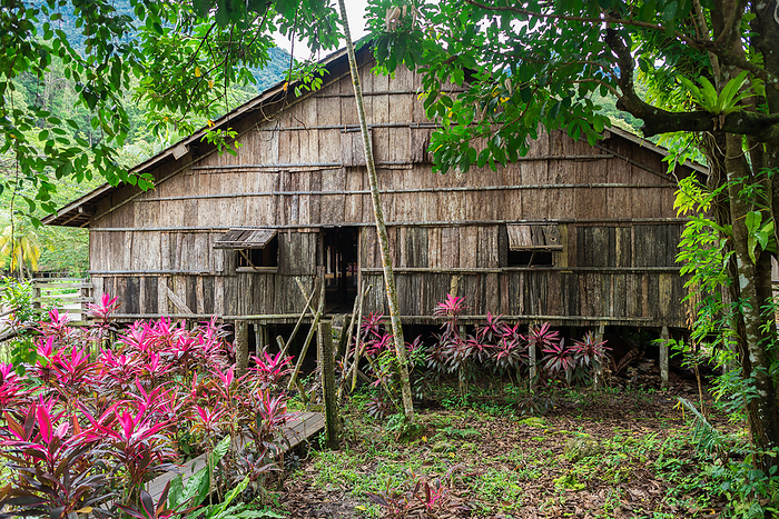 Traditional Iban longhouse in the Sarawak Cultural Village on Borneo Traditional Iban Longhouse in the Sarawak Cultural Village on Borneo, by Zoonar Stefan Laws