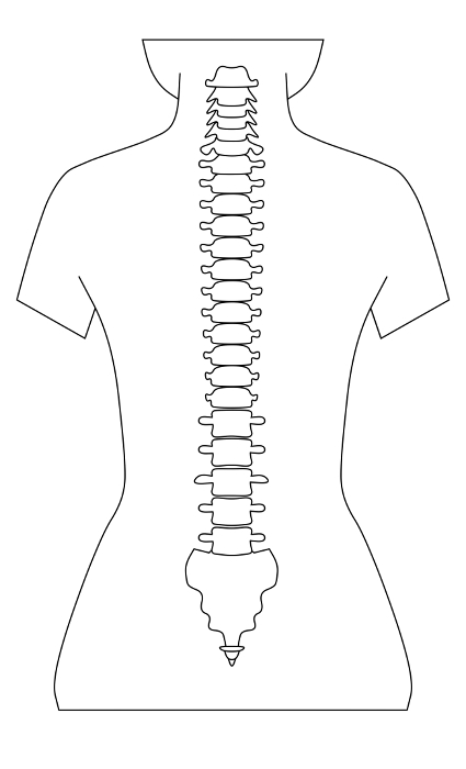 Simple illustration of a normal spine