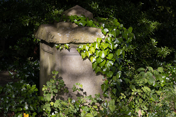 BRISTOL, UK   MAY 13 : Sunlit tomb along Birdcage Walk in Bristol on May 13, 2019 Bristol, UK   May 13: Sunlit Tomb Along Birdcage Walk in Bristol on May 13, 2019, by Zoonar Phil Bird