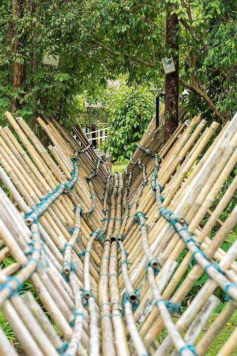 The Bidayuh bamboo bridge in the Sarawak Cultural Village on Borneo The Bidayuh Bamboo Bridge in the Sarawak Cultural Village on Borneo, by Zoonar Stefan Laws