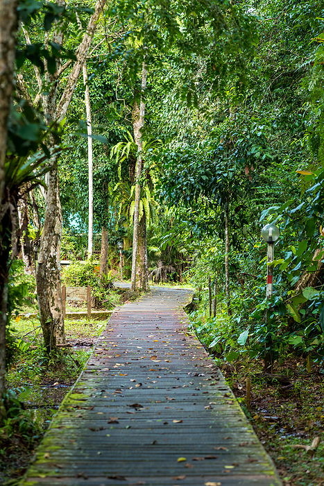 Educational trail in Camp Teluk Assam in the Bako National Park on Borneo Educational Trail in Camp Teluk Assam in the Bako National Park on Borneo, by Zoonar Stefan Laws