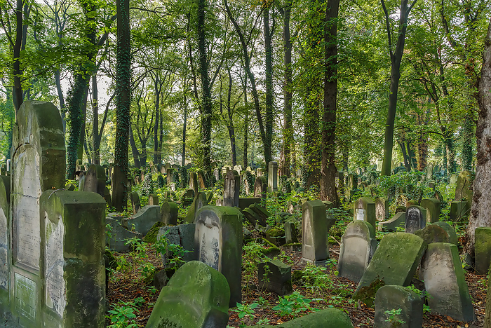 New Jewish Cemetery, Krakow, Poland New Jewish Cemetery, Krakow, Poland, by Zoonar Boris Breytma