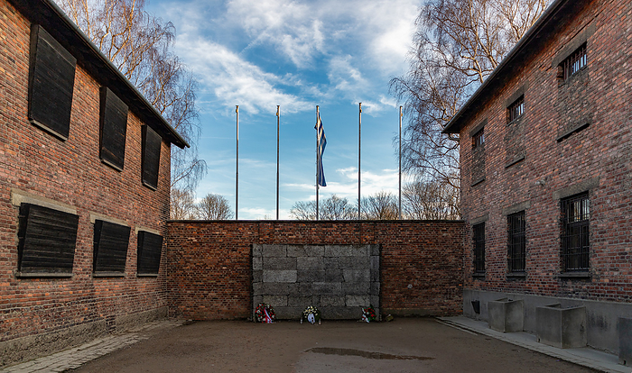 Auschwitz Death Wall I Auschwitz Death Wall I, by Zoonar Bruno Coelho