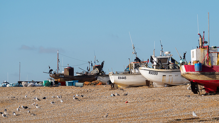 Fishing Boats on Hastings Beach Fishing Boats on Hastings Beach, by Zoonar Phil Bird