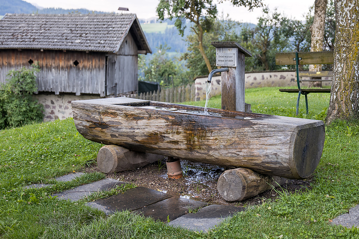 FIE ALLO SCILIAR, SOUTH TYROL ITALY   AUGUST 8 : View of a wooden drinking water trough in Fie allo Sciliar, South Tyrol, Italy on August 8, 2020 Fie Allo Sciliar, South Tyrol Italy   August 8: View of a Wooden Drinking Water Trough in Fie Allo Sciliar, South Tyrol, Italy on August 8, 2020, by Zoonar Phil Bird