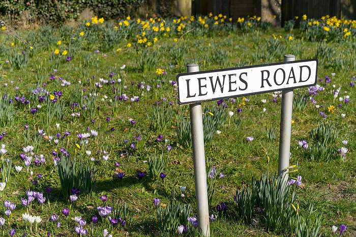 EAST GRINSTEAD,  WEST SUSSEX, UK   MARCH 1 :  View of Lewes road sign in East Grinstead West Sussex on March 1, 2021 East Grinstead, West Sussex, UK   March 1: View of Lewes Road Sign in East Grinstead West Sussex on March 1, 2021, by Zoonar Phil Bird