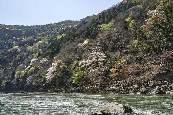 Scenery from the Hozugawa River