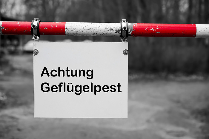 Sign at the entrance of a farm in Germany with the inscription Attention avian influenza Sign at the entrance of a farm in Germany with the inscription Attention Avian influenza, by Zoonar Heiko Kueverl