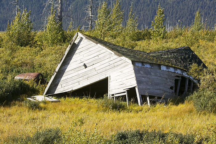 Collapsed barn due to permafrost melt, Alaska, USA Collapsed barn due to permafrost melt, Alaska, USA Weathered barn that has collapsed due to permafrost melt and unstable foundation conditions. Photographed in Alaska, USA.