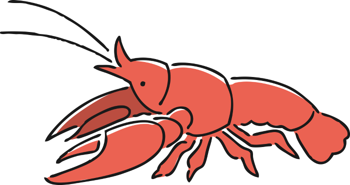 Hand drawn crayfish illustration