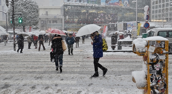 Heaviest Snowfall in 13 Years in Tokyo Metropolitan Area Heavy snow warning issued for Tokyo s 23 wards February 8, 2014, Tokyo, Japan : People walk past a street covered with snow as snow falls in Shibuya, Tokyo, Japan, on  February 8, 2014.  Photo by AFLO 