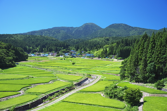 Terraced rice paddies in Anasuji, Oga City, Akita Pref.
