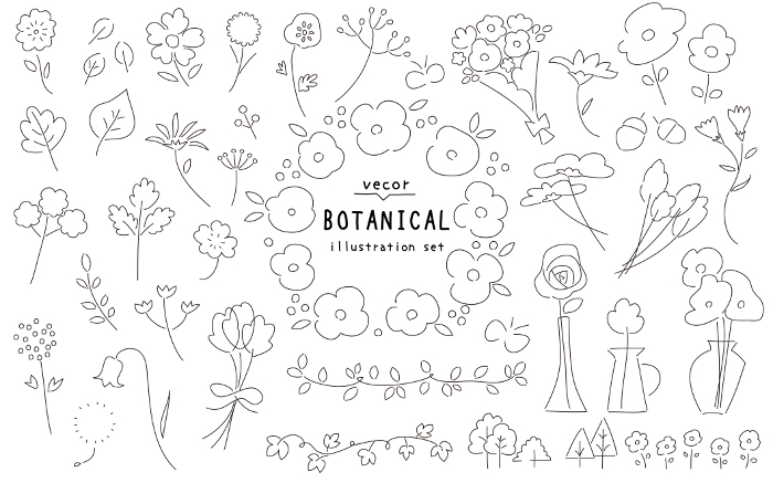 Hand-drawn botanical illustration set _ vector line drawing monotone